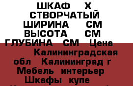 ШКАФ- 2-Х СТВОРЧАТЫЙ-ШИРИНА-115 СМ, ВЫСОТА-180 СМ, ГЛУБИНА-60СМ › Цена ­ 7 000 - Калининградская обл., Калининград г. Мебель, интерьер » Шкафы, купе   . Калининградская обл.,Калининград г.